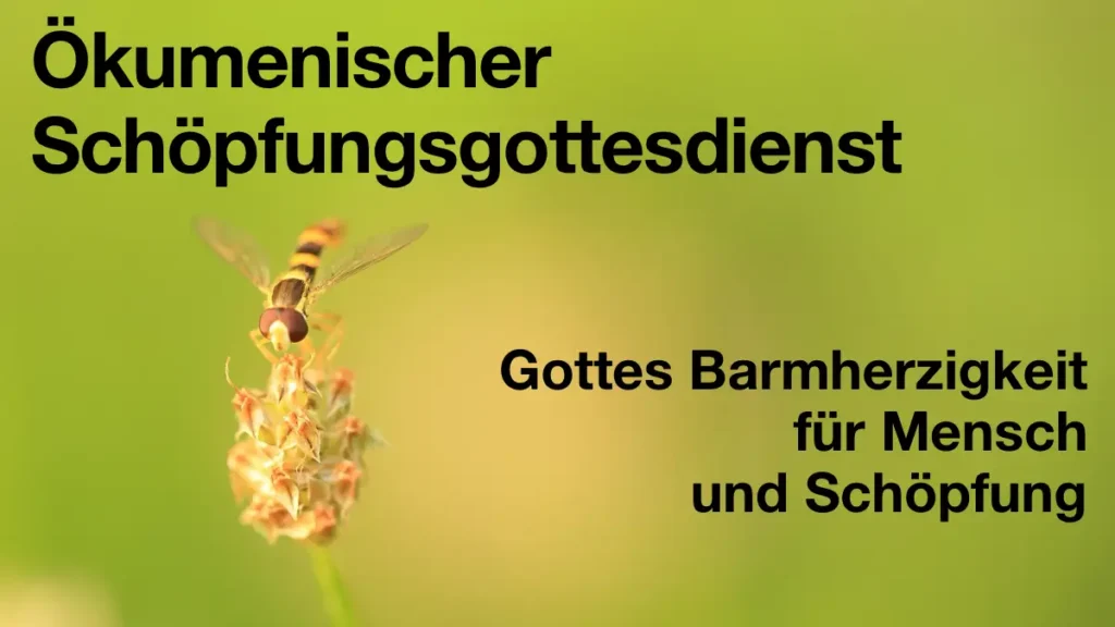 Das Bild zeigt eine Biene, die eine Blüte anfliegt. Der Hintergrund ist verschwommen. Text: "Ökumenischer Schöpfungsgottesdienst. Gottes Barmherzigkeit für Mensch und Schöpfung."